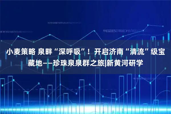 小麦策略 泉畔“深呼吸”！开启济南“清流”级宝藏地——珍珠泉泉群之旅|新黄河研学