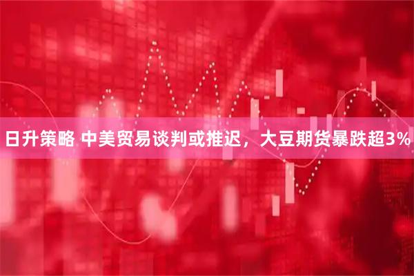 日升策略 中美贸易谈判或推迟，大豆期货暴跌超3%