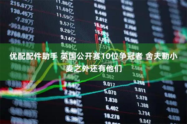 优配配件助手 英国公开赛10位争冠者 舍夫勒小麦之外还有他们